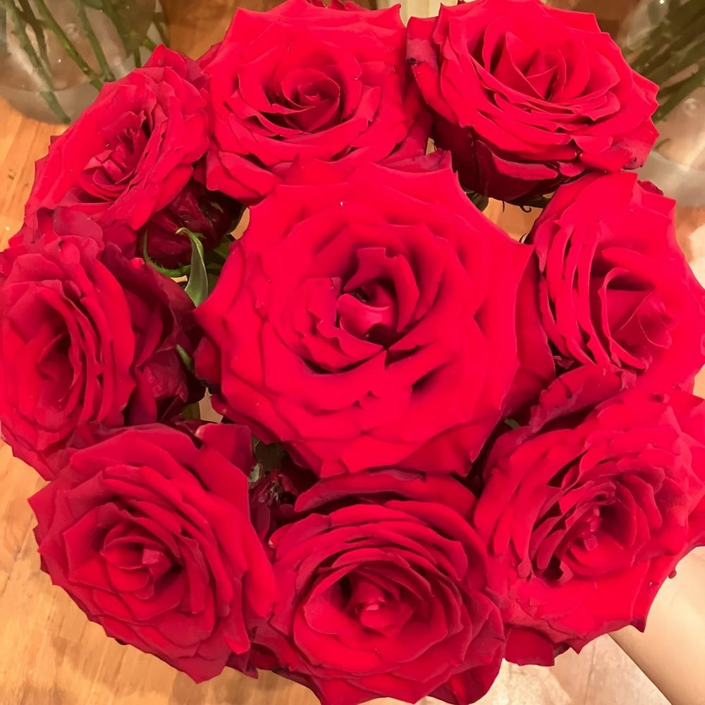 Bloody Rose Plant|布拉迪 image 4