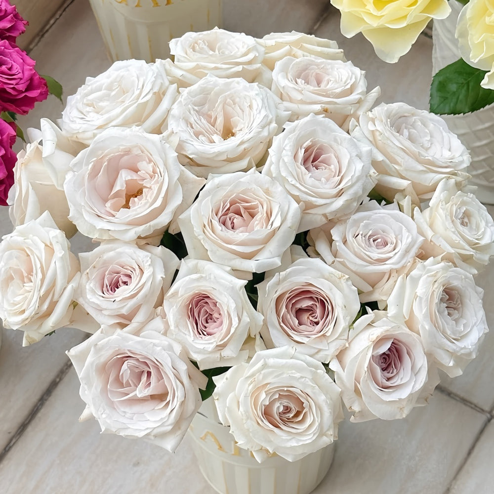 Silver Lining Rose