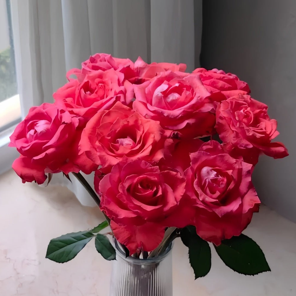 Yuhaitang Rose Plant｜玉海棠 image 7