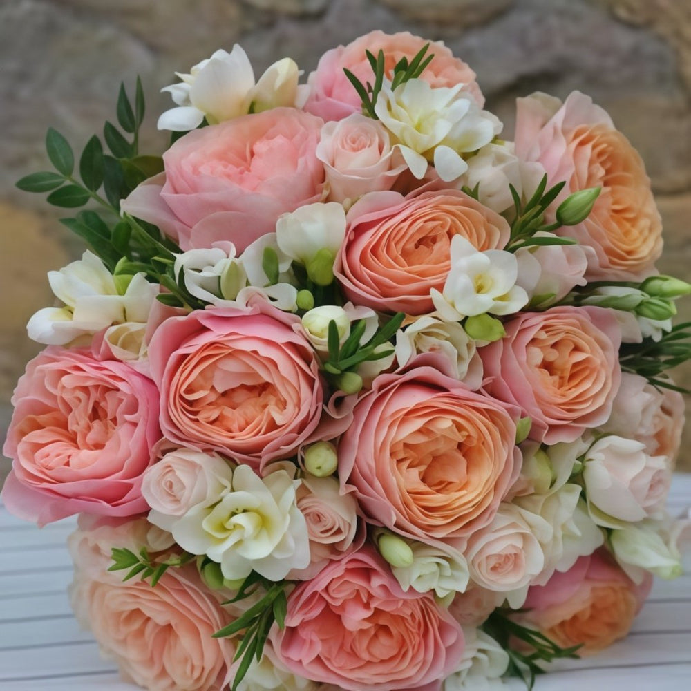 Romantic Vuvuzela Rose Plant|浪漫珊瑚心 image 5