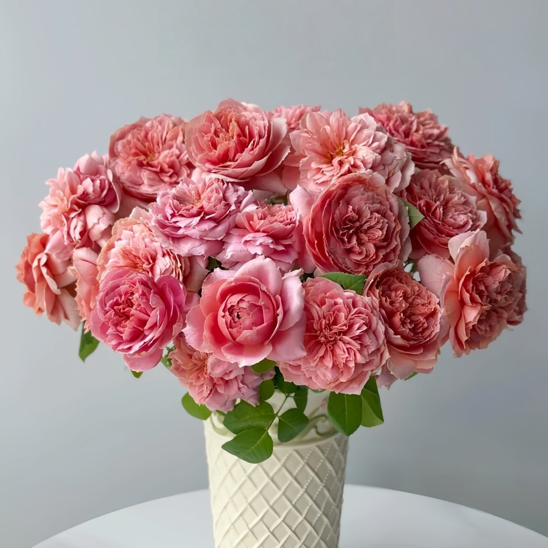 Moulin de la galette Rose Plant｜煎饼磨坊 image 7