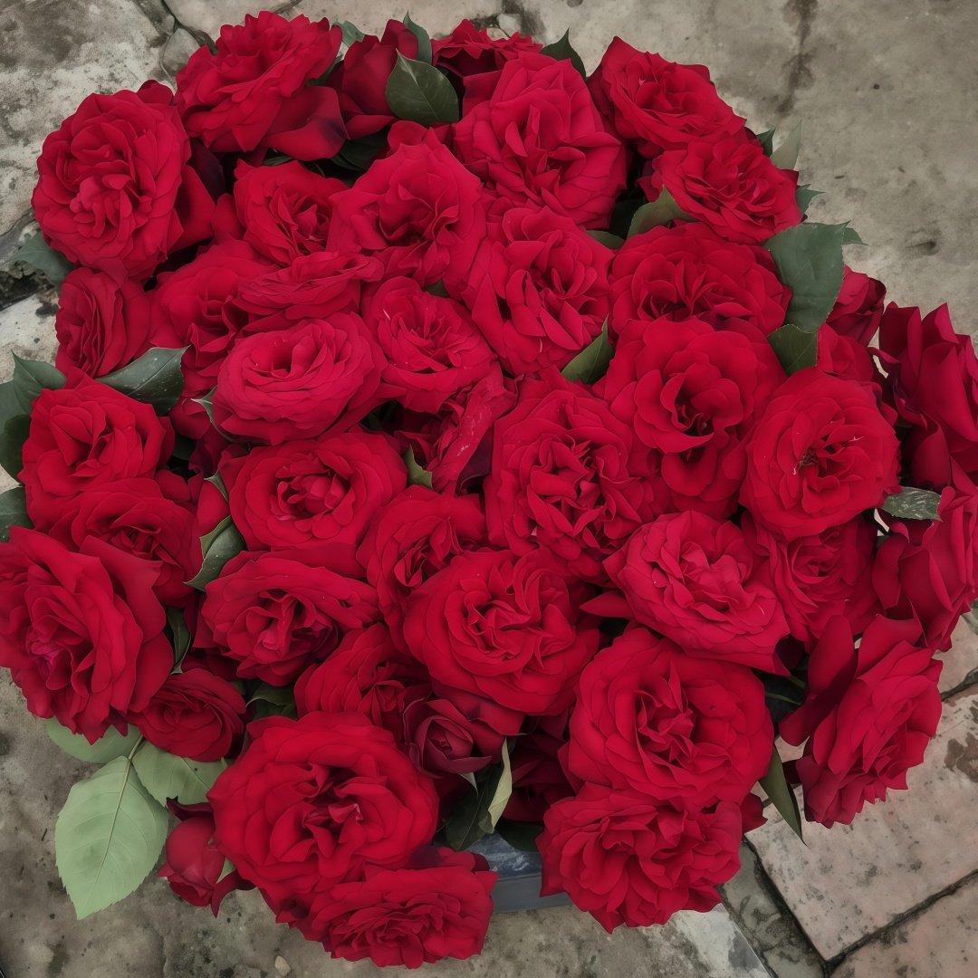 Admiral Rose Plant｜海军上将 image 3