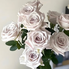 Menta Rose Plant | 曼塔 image 3
