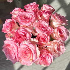 Wu Mei Niang Rose Plant｜武媚娘 image 3