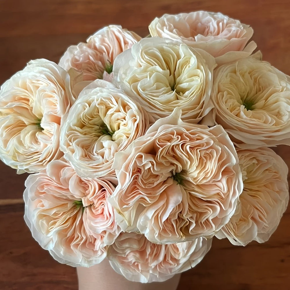Stanley Abbey Rose Plant｜斯坦利修道院 image 5
