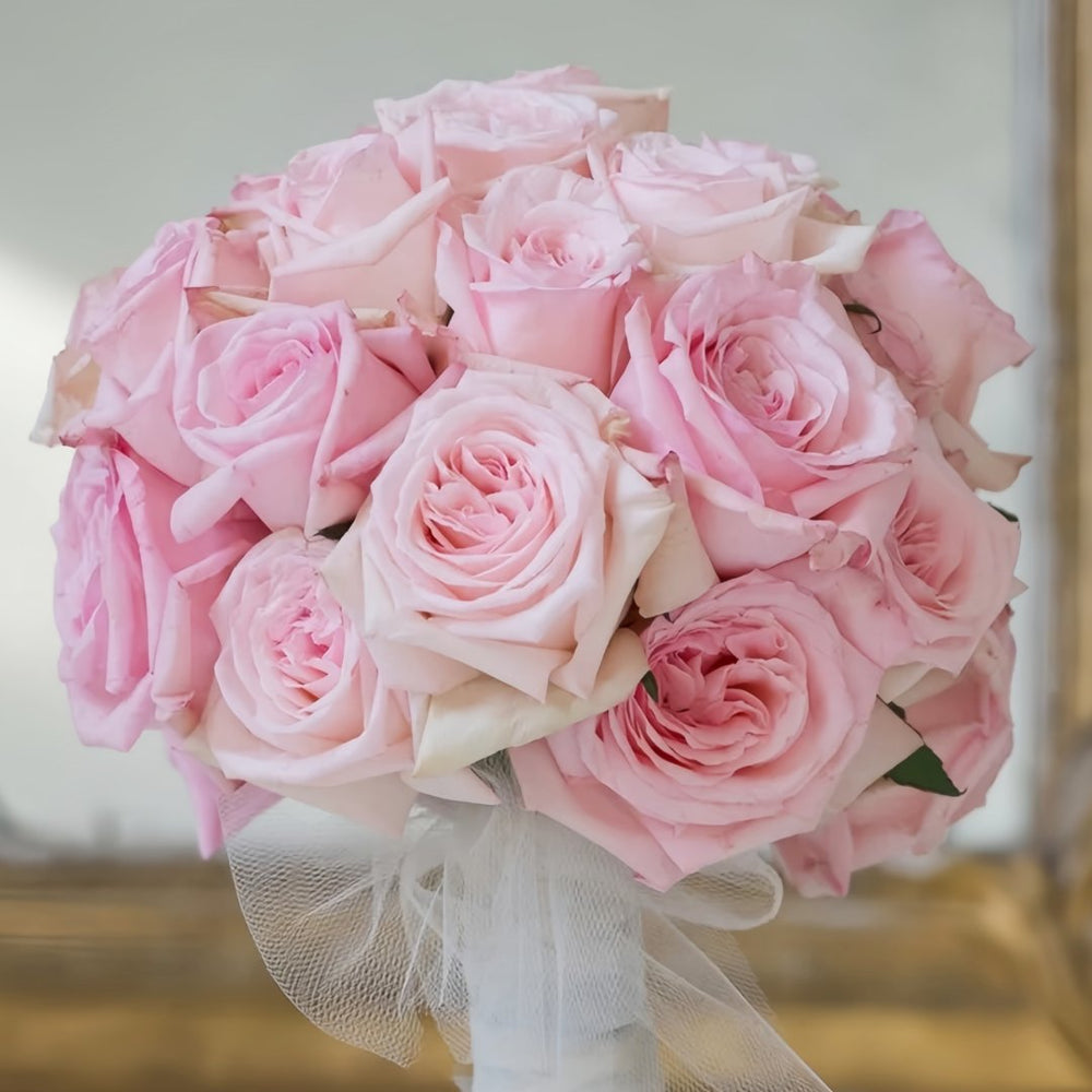 Pink ohara Rose Plant|粉哈娜 image 10