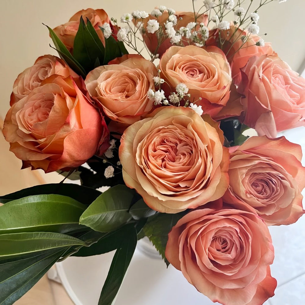 Kahala Rose Plant|卡哈拉 image 6