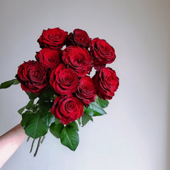 Cola Rose Plant | 可乐 image 2