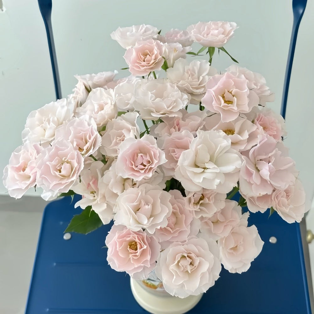 Jillian Rose Plant｜吉莉安公主 image 8