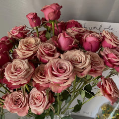 Magic Silver Rose Plant|神奇银色/魔力银 image 3