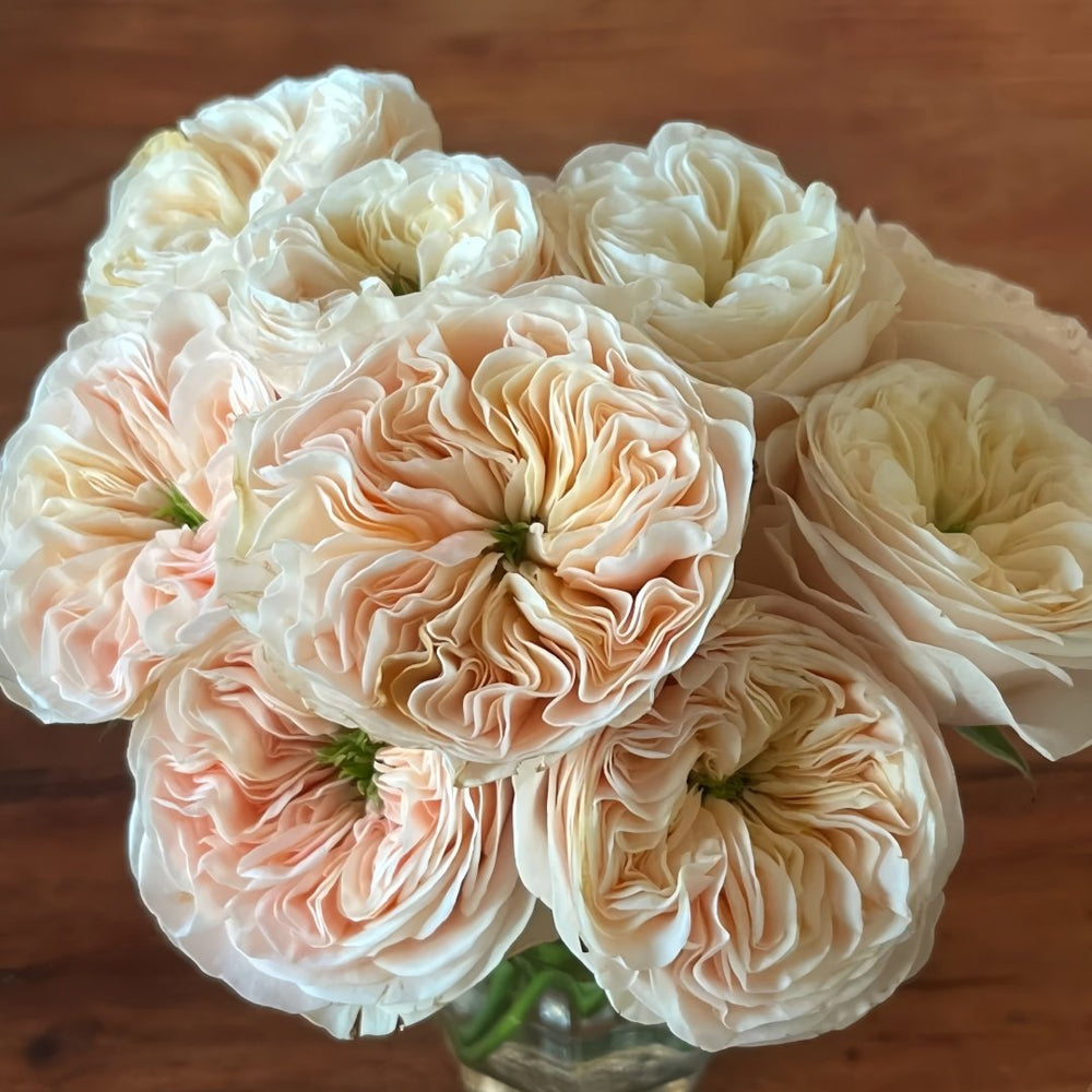 Stanley Abbey Rose Plant｜斯坦利修道院 image 6