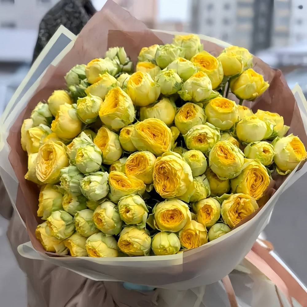 Sunny Trendsetter Rose Plant｜阳光潮流 image 1
