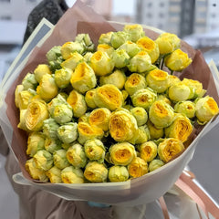 Sunny Trendsetter Rose Plant｜阳光潮流 image 1