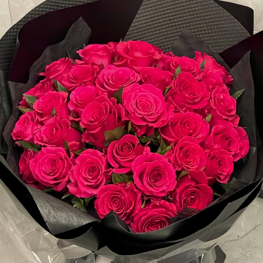 Gotcha Rose Plant|高盛/高胜 image 9