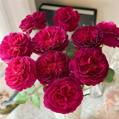 Hiraku Rose Plant｜蓝莓戒指 image 2