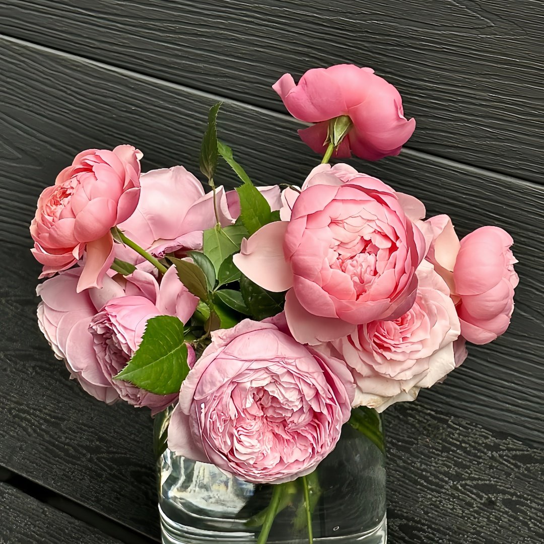 The Alnwick Rose Plant｜安妮克城堡 image 5