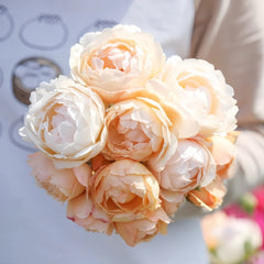 Wollerton Old Hall Rose Plant|沃勒顿老庄园 image 0