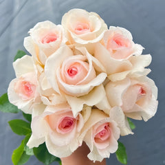 Fragrant Snow Rose Plant|香腮雪 image 1