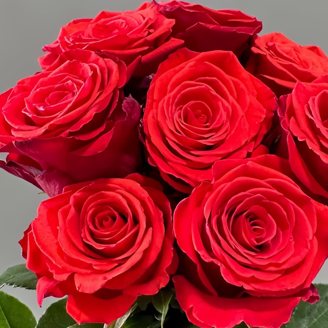 Nina Rose Plant｜妮娜 image 1