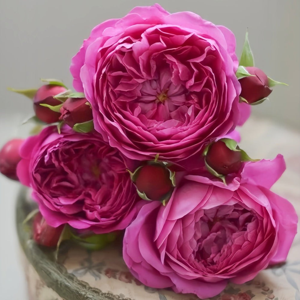 Cartonnage Rose Plant|法式布盒 image 9