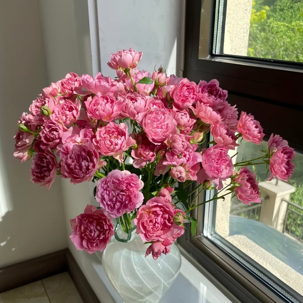 Nagi Rose Plant｜凪 image 9