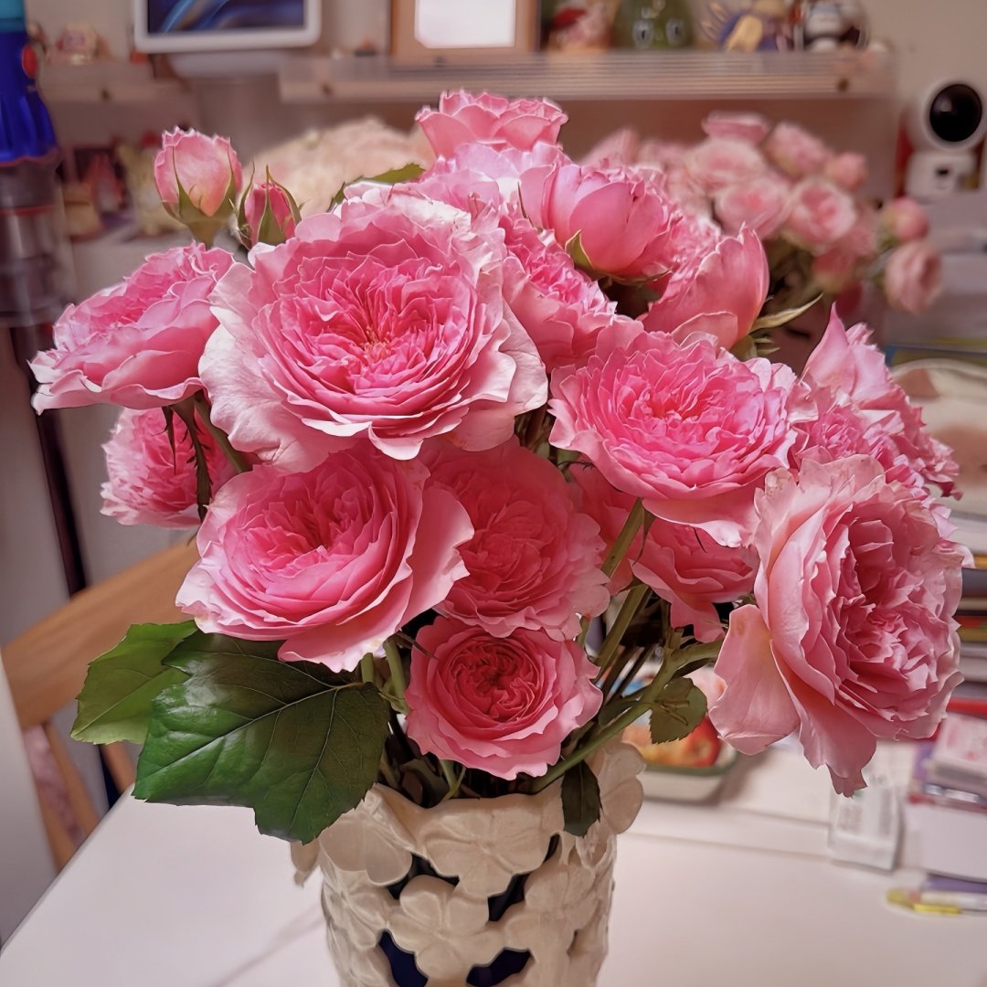 Millicent Rose Plant|米利森特 image 6