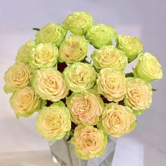 Shangguan Wan'er Rose Plant|上官婉儿 image 0