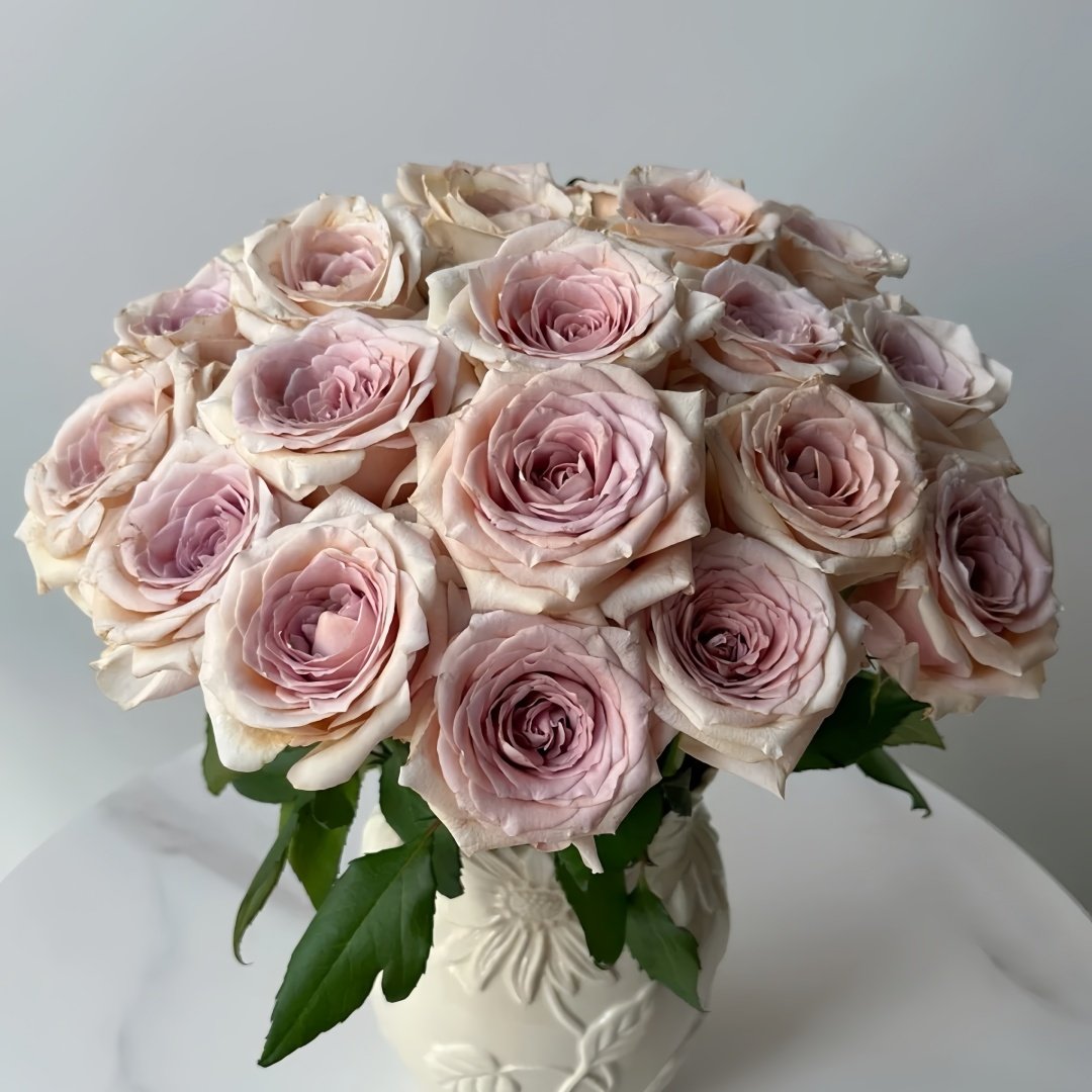 Brut Rose Plant｜布鲁特 image 9