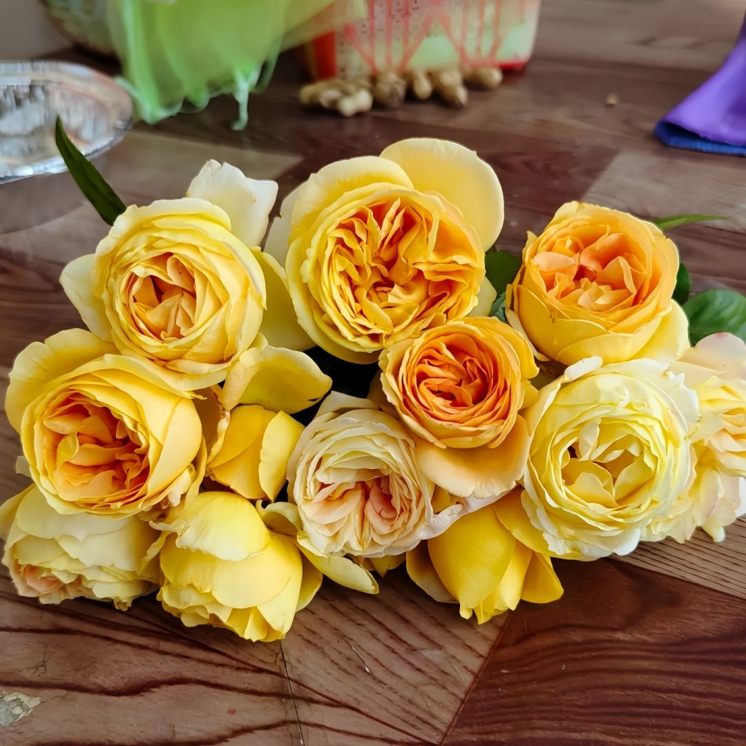 Global Beauty Rose Plant|黄烛光 image 4