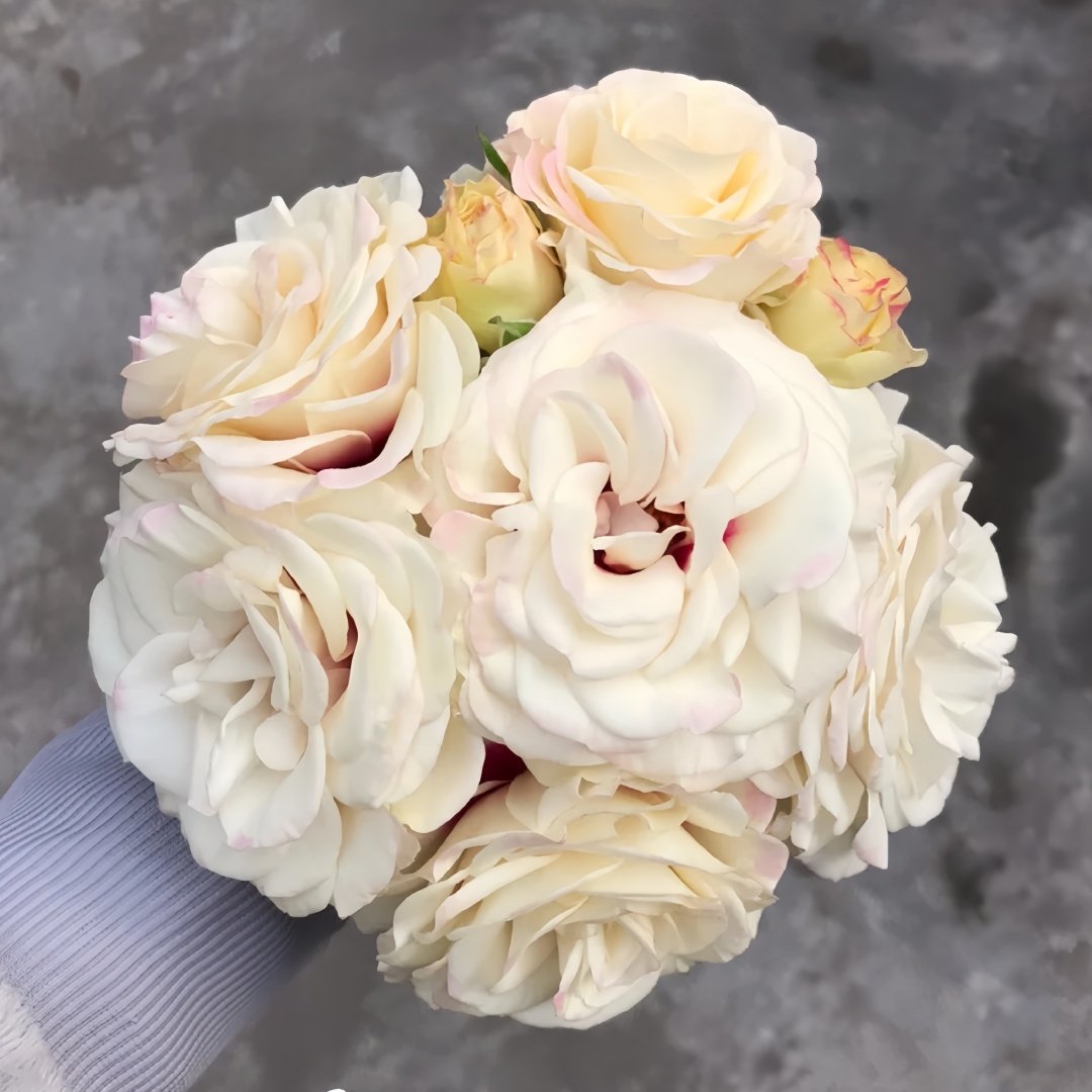 Brideside Rose Plant｜桥边之约 image 8