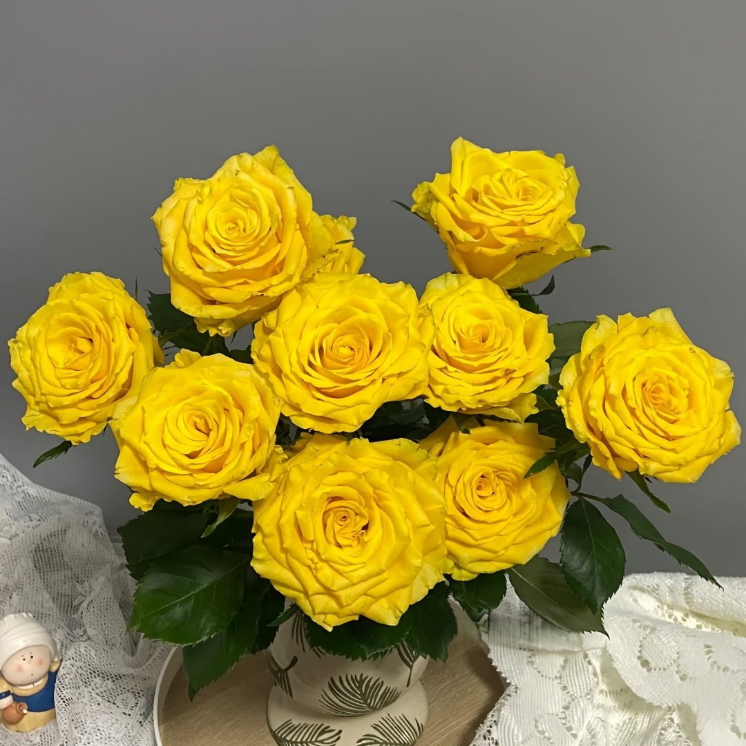 Yellow Breeze Rose Plant｜黄色布雷茨 image 8