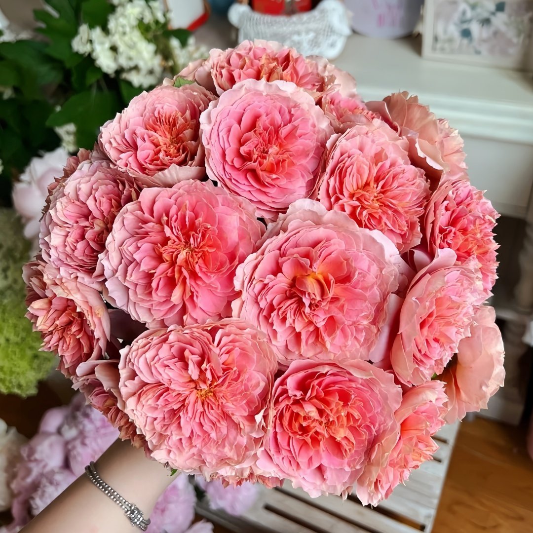 Moulin de la galette Rose Plant｜煎饼磨坊 image 0