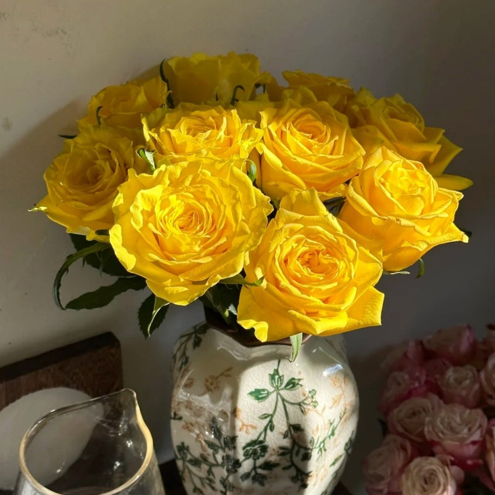 Moonwalk Rose Plant｜月光漫步 image 11