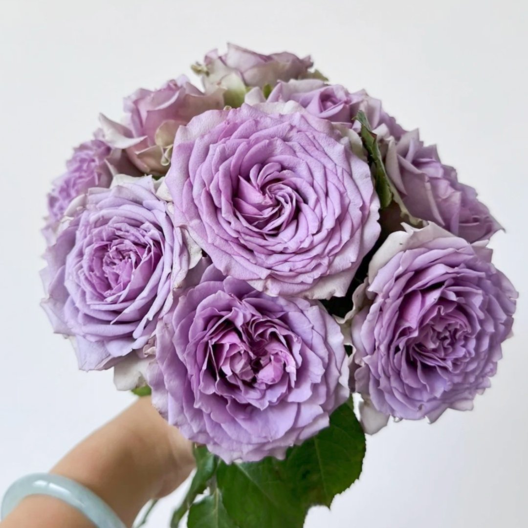 Coffret Rose Plant | 首饰盒 image 0