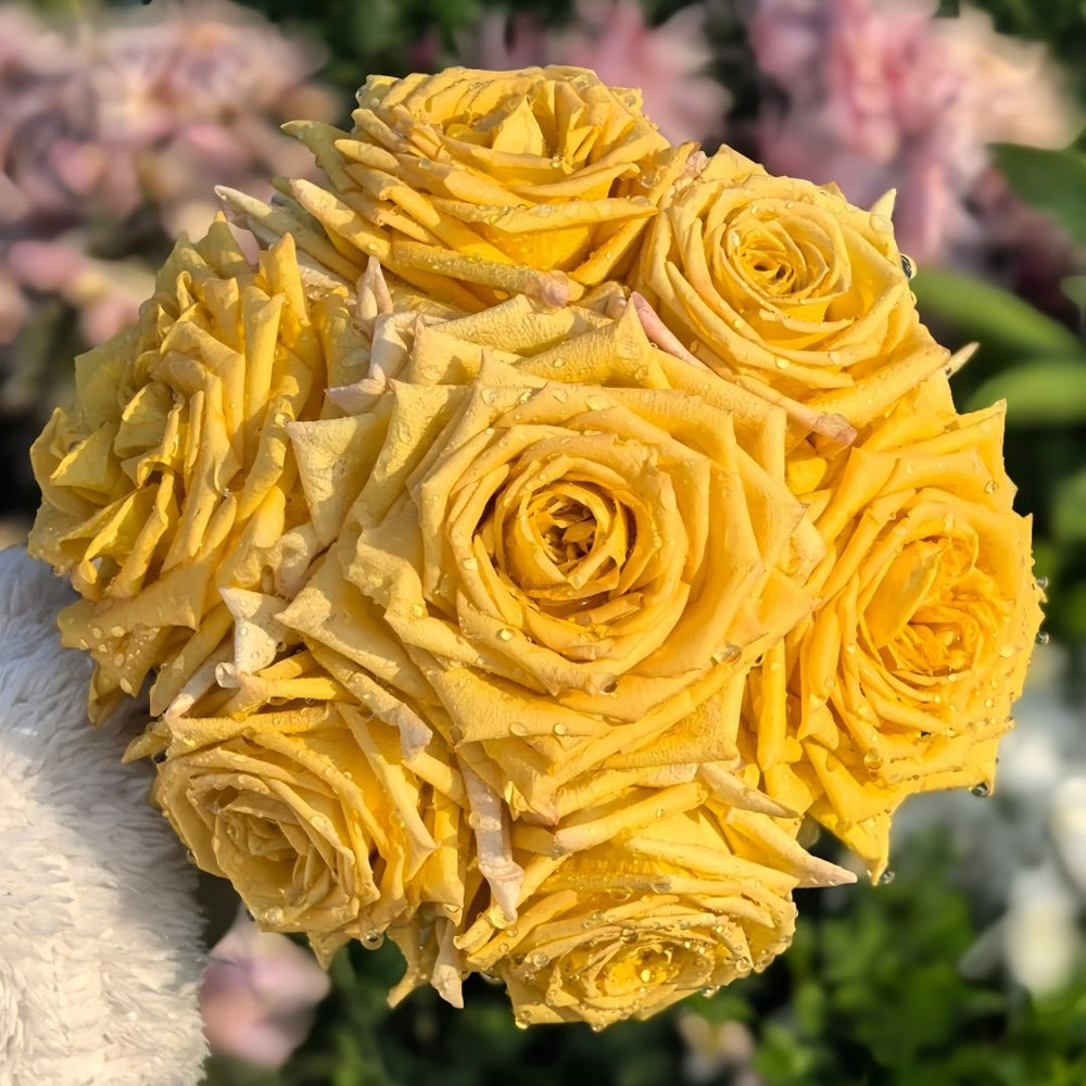 Spoiler Rose Plant｜捣蛋鬼 image 0