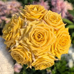 Spoiler Rose Plant｜捣蛋鬼 image 0