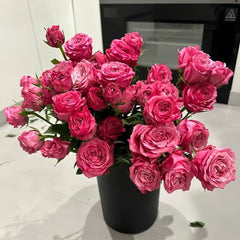 All four love Rose Plant｜四爱 image 2