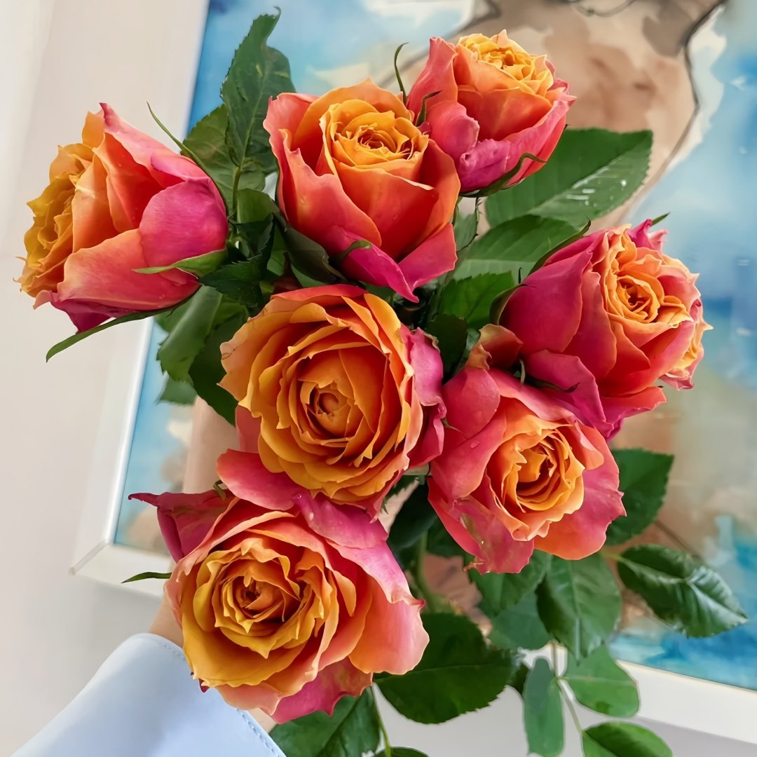 Rosa 'Naples Forever' Rose Plant｜永远的那不勒斯 image 6